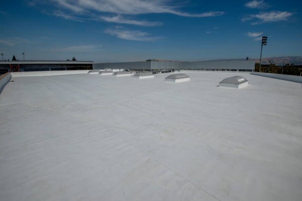 Best Roof Insulation Installation  in Montrose, PA