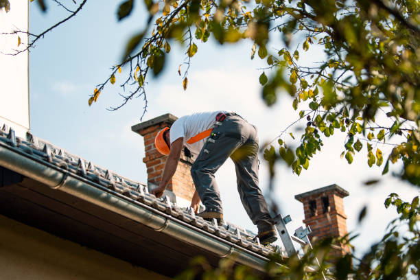 Best 4 Ply Roofing  in Montrose, PA