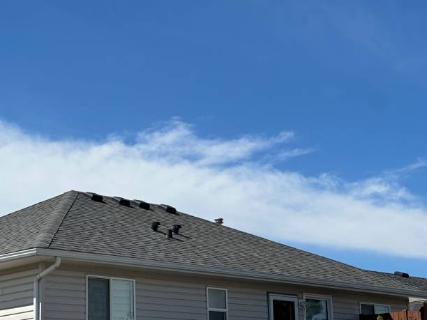 Best Chimney Flashing Repair  in Montrose, PA